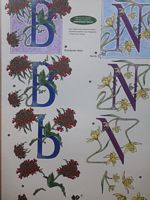 Klaver 4 knipvel 4077 Alfabet letters B en N